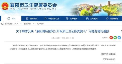 襄阳新闻大爆料最新,揭秘本地热点事件背后的真相！