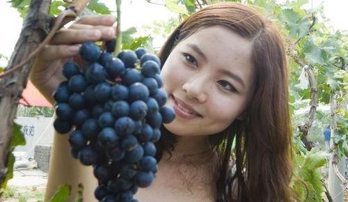 网红吃葡萄瓜是真的吗视频,是炒作还是美味新发现？