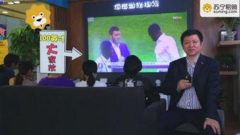 苏宁董事长爆料视频播放,视频播放背后的惊人数据与行业洞察