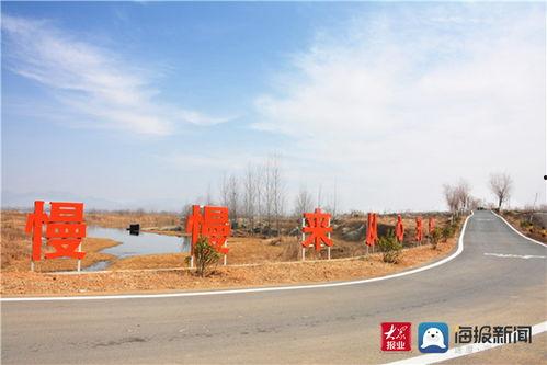 新闻大爆料龙阳县,揭秘当地热点事件背后的真相