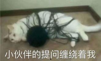 呆娃崩溃爆料视频大全,揭秘背后真相与情感波动