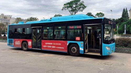 3路公交车爆料视频下载,爆料视频背后的真实故事