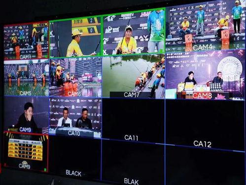 新津电视台爆料视频播放,视频内容大揭秘