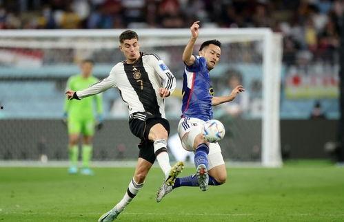 日本世界杯最新爆料消息,揭秘神秘阵容与备战策略