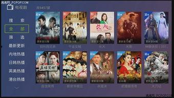 粉丝爆料大仙视频下载安装,粉丝爆料背后的操作指南