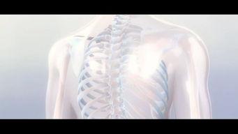 人体模型最新爆料视频网,最新爆料视频深度解析