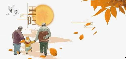 重阳节爆料视频,传统节日背后的温馨故事与习俗传承