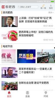 肥西女婿爆料新闻视频最新