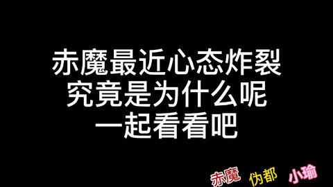 新版本爆料第二期视频,揭秘游戏新内容与更新亮点